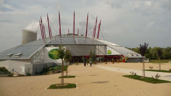 crocodilescivaux