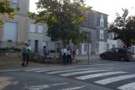 Rallye Sport & Collection 2020